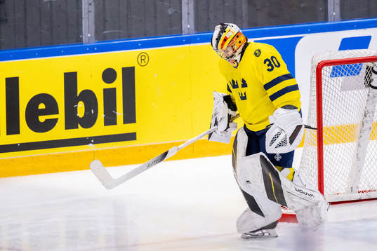 Goaltender Felicia Frank of Sweden looks dejected