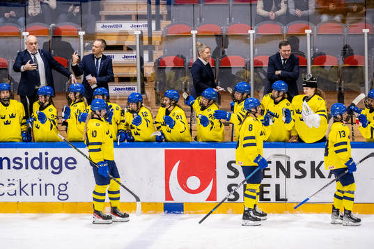 Players of Sweden celebrate the 3-1 goal by Isabelle