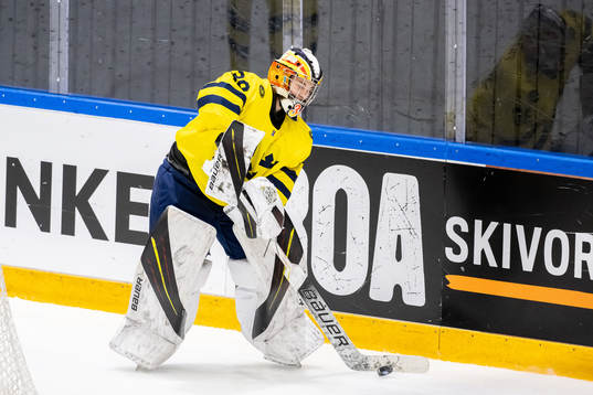 Goaltender Felicia Frank of Sweden