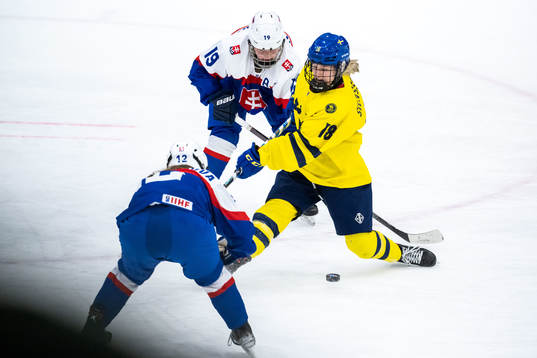 Nela Lopusanova and Tatiana Blichova of Slovakia and Hilda