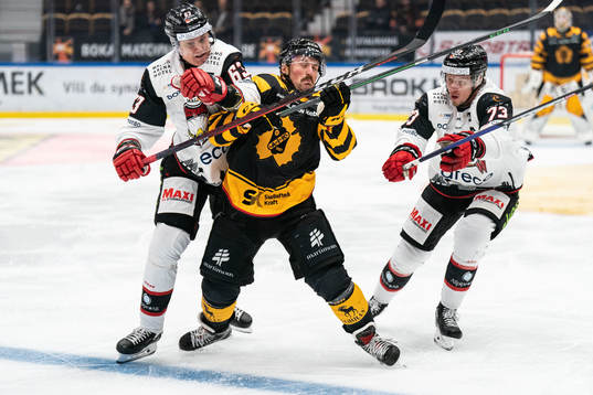 Malmö Redhawks Fredrik Händemark och Skellefteås Adam