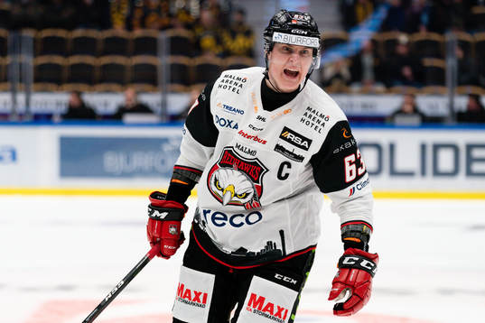 Malmö Redhawks Fredrik Händemark
