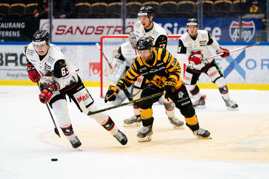 Malmö Redhawks Fredrik Händemark och Skellefteås Oscar