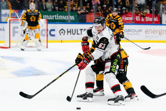 Malmö Redhawks Fredrik Händemark