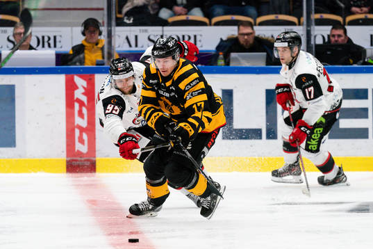 Malmö Redhawks Carl Persson och Skellefteås Pär Lindholm