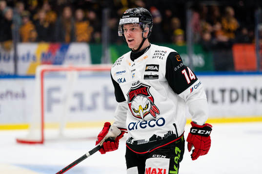 Malmö Redhawks Carl-Johan Lerby är arg på medspelare