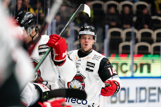 Malmö Redhawks Carl-Johan Lerby är arg på medspelare