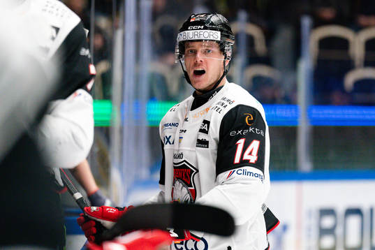 Malmö Redhawks Carl-Johan Lerby är arg på medspelare