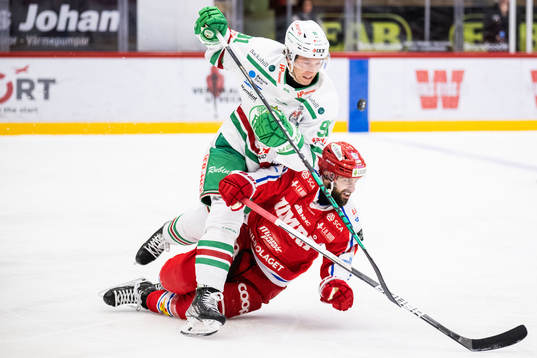 Bläddra bland fler bilder av Ishockey, SHL, Timrå - Rögle