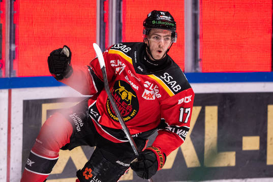 Bläddra bland fler bilder av Ishockey, SHL, Luleå - Färjestad
