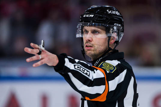 Domare Johan Magnusson