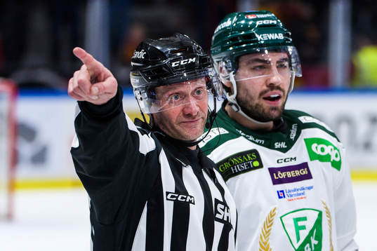 Linjedomare Jan Sandström