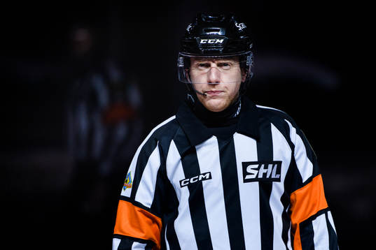 Domare Mikael Holm