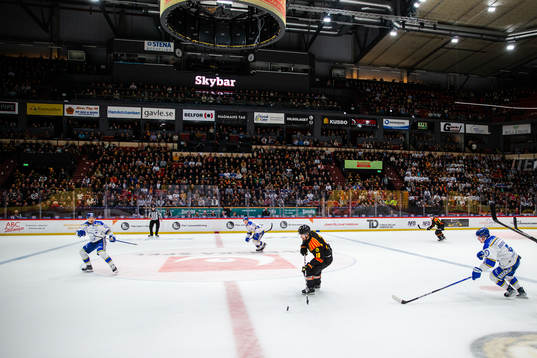 Brynäs Anton Rödin