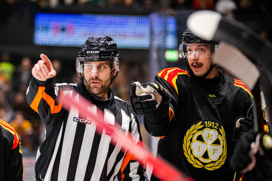 Domare Mikael Sjöqvist och Brynäs Hannes Björninen