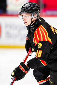 Brynäs David Sklenicka