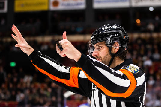 Domare Mikael Sjöqvist