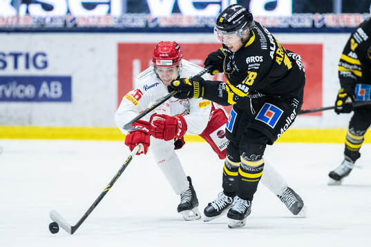 Almtunas Magnus Eisenmenger och Västerås Emil Aronsson