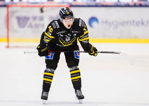 Västerås Liam Dower Nilsson