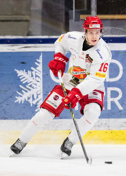 Almtunas Magnus Eisenmenger