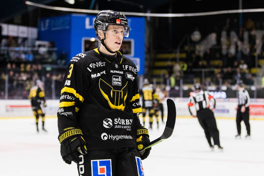 Västerås Ludvig Östman