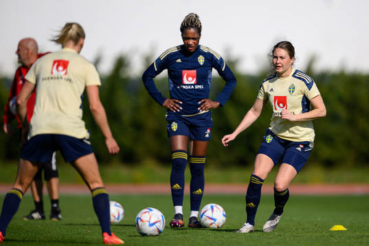 Fanny Andersson of the Swedish women's national football