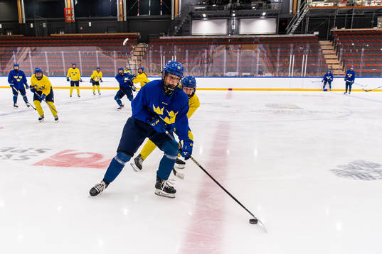 Stella Lindell and Emilia Bergeby Hallbeck of Sweden at a