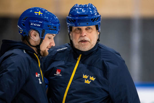Video analyst Erik Ladhe and assistant coach Ulf Hall  of