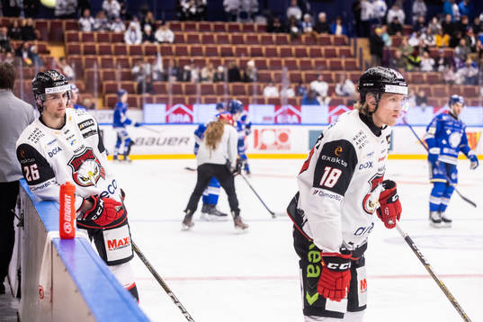 Malmö Redhawks Thomas Schemitsch och Marcus Sylvegård