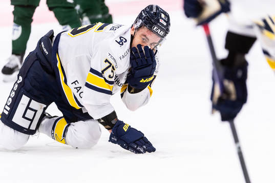 HV71s Radan Lenc har ont