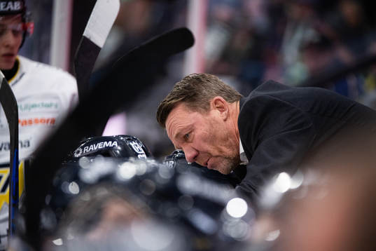 HV71s assisterande tränare Charles Berglund