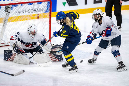 Goaltender Annelies Bergmann and Gabrielle Kim of USA and