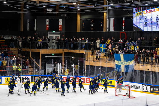 Players of Sweden celebrate