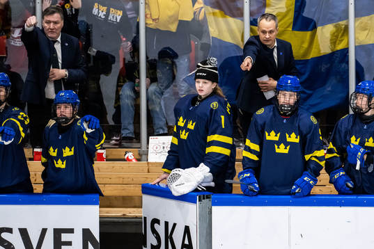 Head coach Andreas Karlsson of Sweden