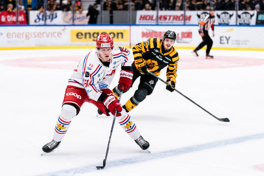 Bläddra bland fler bilder av Ishockey, SHL, Skellefteå - Timrå