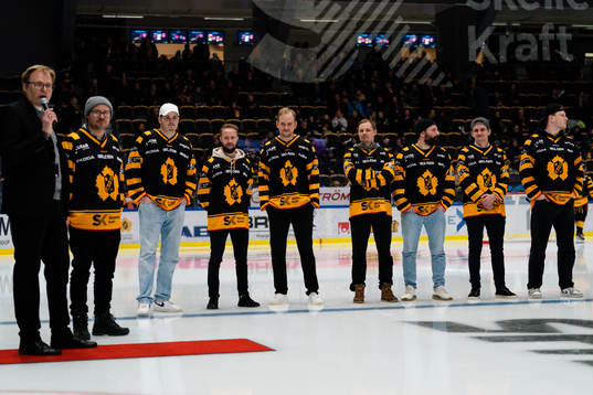 Skellefteås E-SHL lag