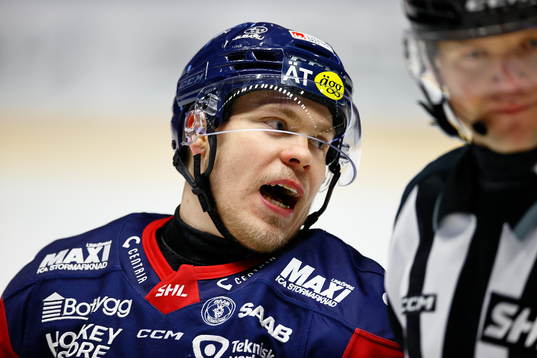 Linköpings Petrus Palmu