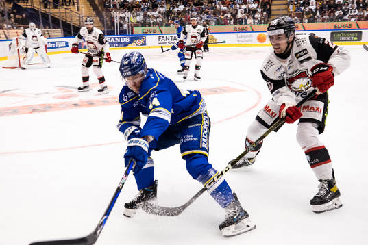 Leksands Carter Ashton och Malmö Redhawks Ponthus