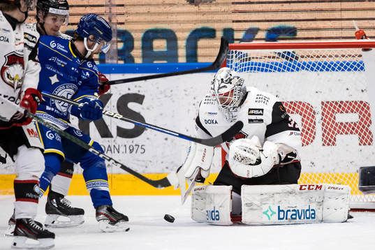 Malmö Redhawks målvakt Adam Werner