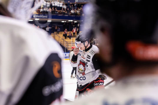 Malmö Redhawks Fredrik Händemark deppar