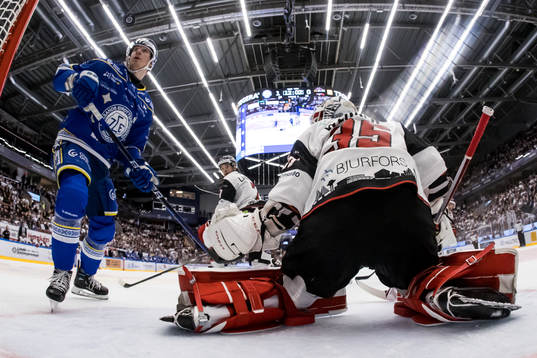 Leksands Carter Ashton och Malmö Redhawks målvakt Adam