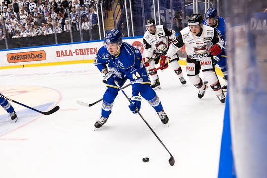 Leksands Carter Ashton