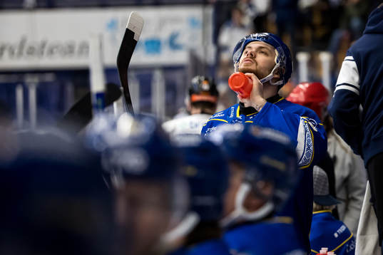 Leksands Lucas Elvenes
