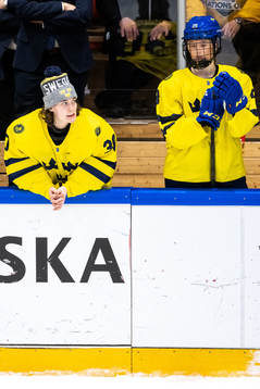 Goaltender Felicia Frank and Isabelle Leijonhielm of Sweden