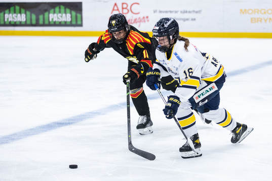 Brynäs Lara Stalder och HV71s Kajsa Armborg