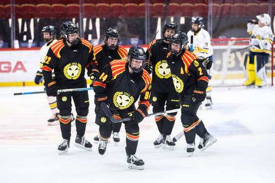 Brynäs Anna Meixner jublar