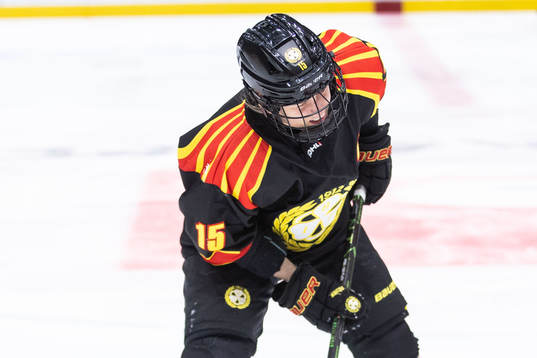 Brynäs Lara Stalder har ont