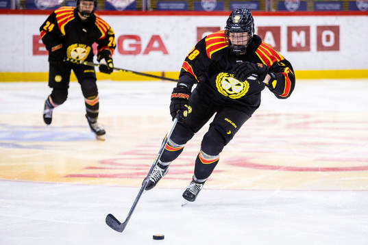 Brynäs Jenny Antonsson