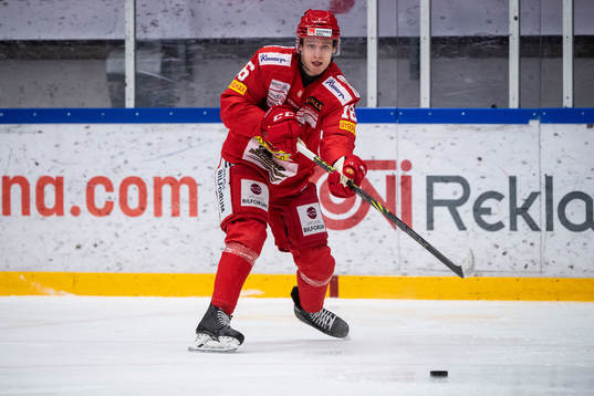Almtunas Magnus Eisenmenger