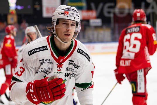 Moras Fabian Ilestedt jublar